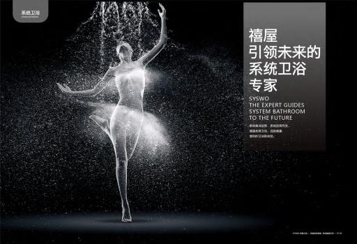 Syn-Tai-Hung-Trading-Syswo-Prefabricated-Bathroom-system禧屋系统卫浴样册04.jpg