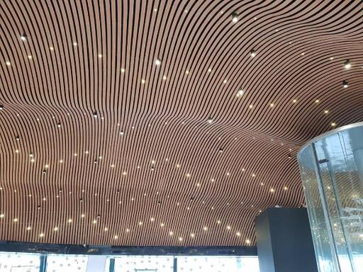 DMl-Steel-Aluminium-Strip-Ceiling-85L-3-2017.jpg