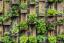 green-roofs-highly-improve-urban-ecology