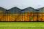 Sheltered-Plantation-Supplier-Malaysia.jpg