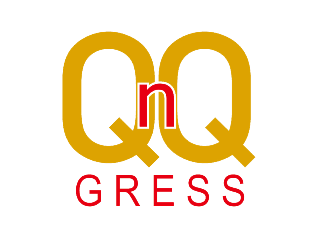 qnqlogo.png