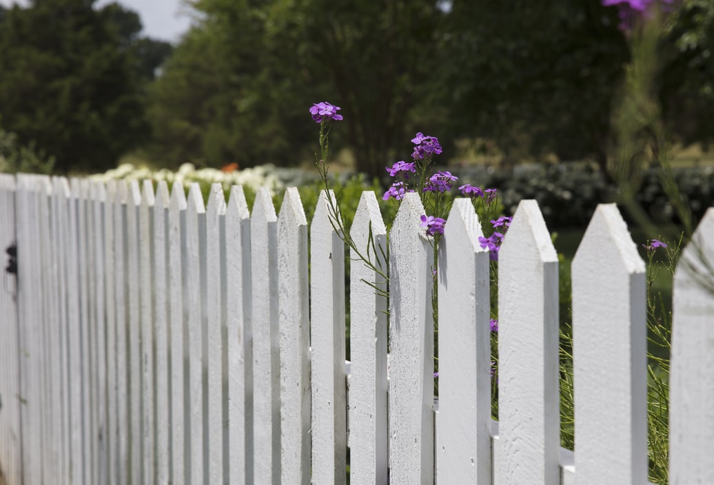 Fence for Garden