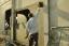 Wall-Crack-Repair-Installer-Malaysia