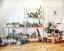 Indoor-Plant-Suppliers-Malaysia
